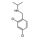 RHAWN N-(2,4-Dichlorobenzyl)propan-2-amine
