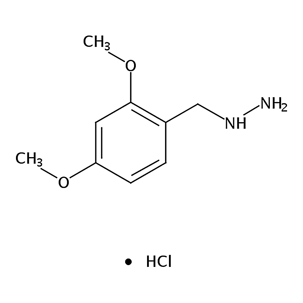 RHAWN (2,4-Dimethoxybenzyl)hydrazine hydrochloride