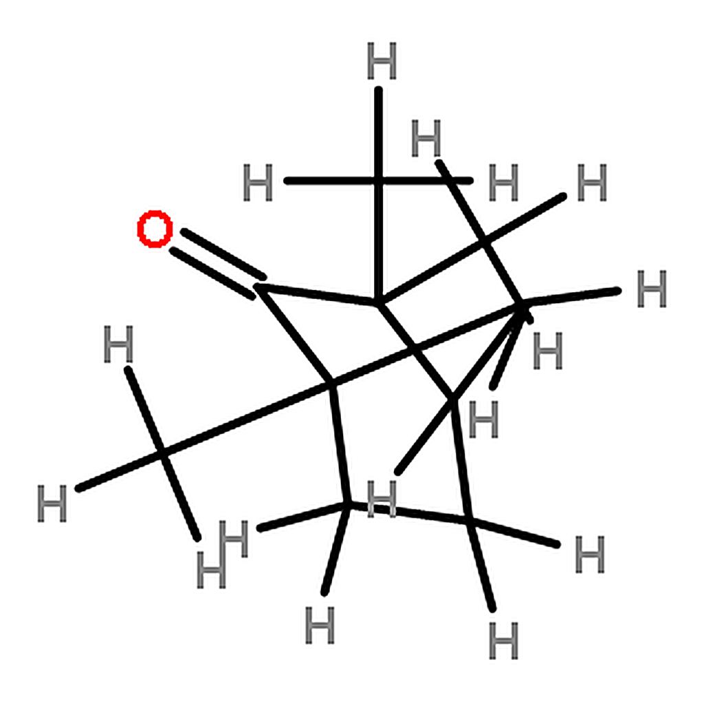 RHAWN (+)-Fenchone