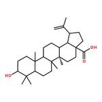 RHAWN Betulinic acid