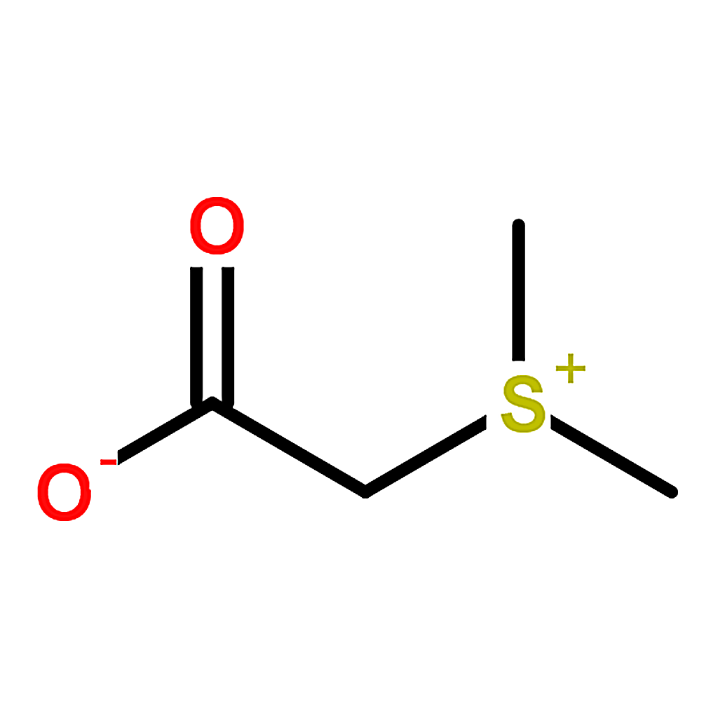 RHAWN Sulfobetaine