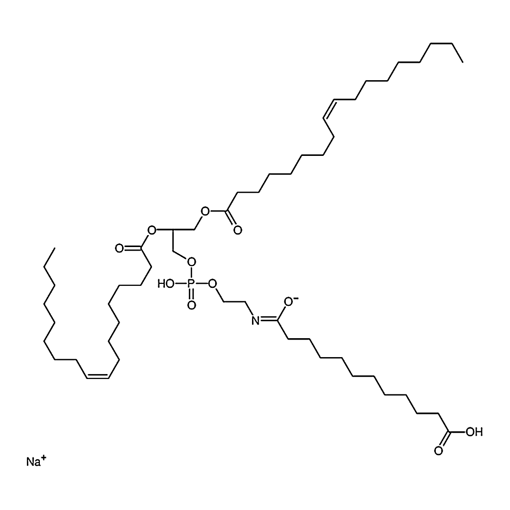 RHAWN 1,2-dioleoyl-sn-glycero-3-phosphoethanolamine-N-(dodecanyl) (sodium salt)