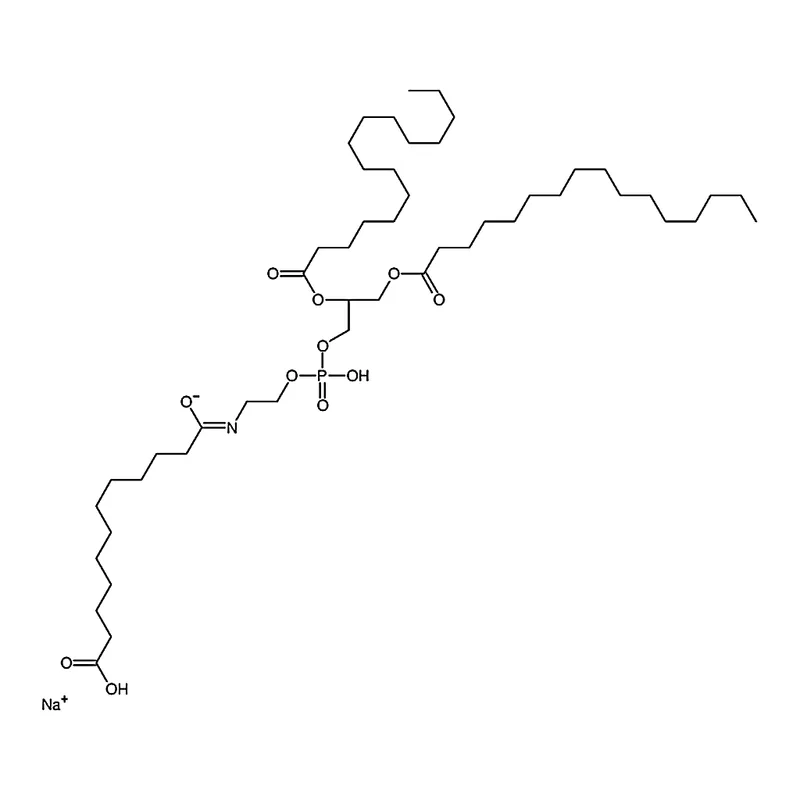 RHAWN 1,2-dipalmitoyl-sn-glycero-3-phosphoethanolamine-N-(dodecanoyl) (sodium salt)