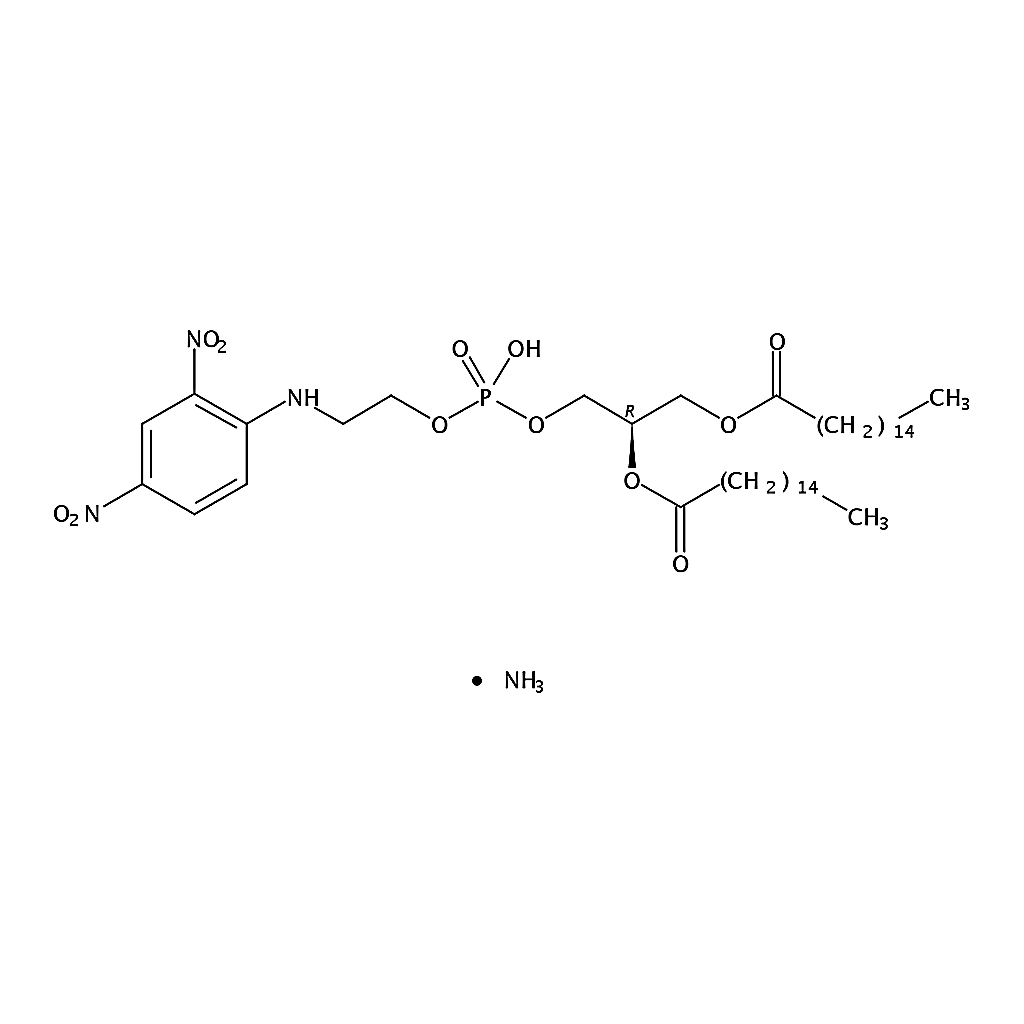 RHAWN 1,2-dipalmitoyl-sn-glycero-3-phosphoethanolamine-N-(2,4-dinitrophenyl) (ammonium salt)