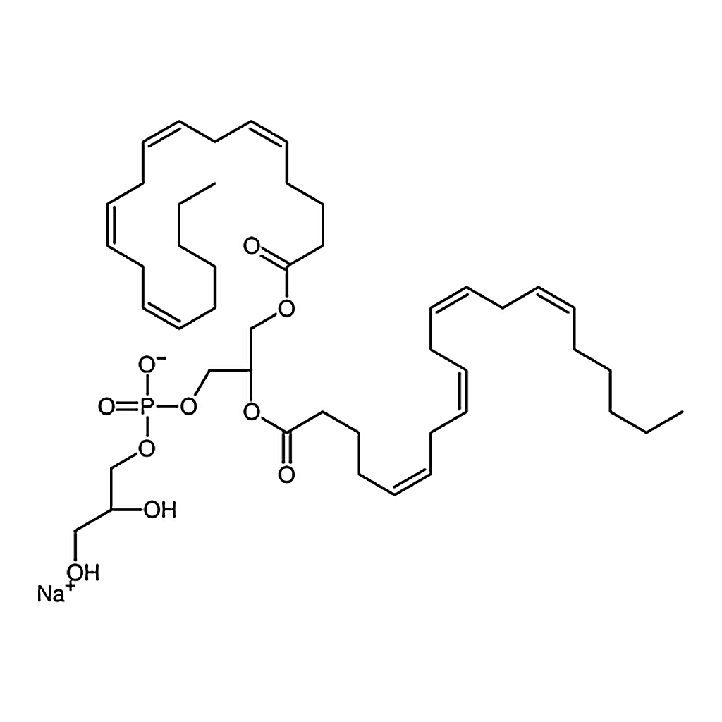 RHAWN 1,2-diarachidonoyl-sn-glycero-3-[phospho-rac-(1-glycerol)] (sodium salt)