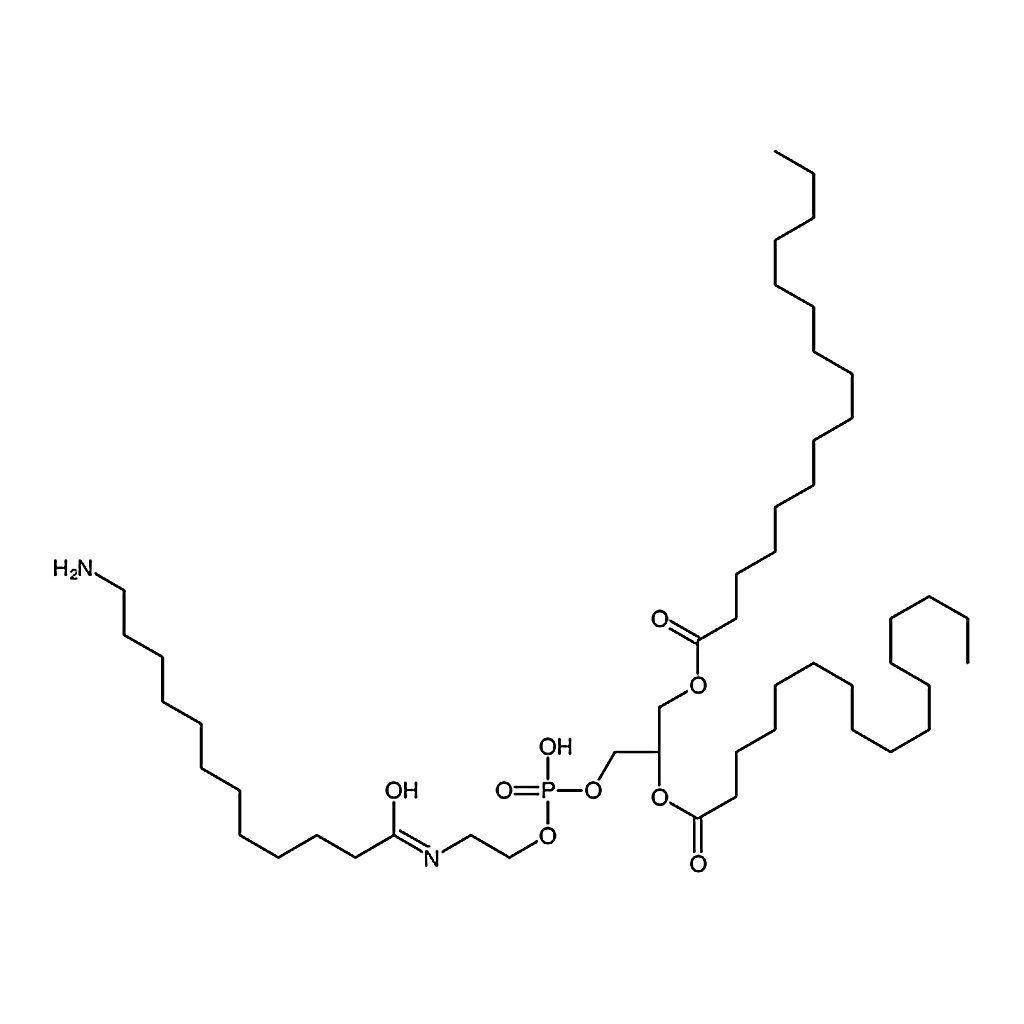 RHAWN 1,2-dipalmitoyl-sn-glycero-3-phosphoethanolamine-N-(dodecanylamine)