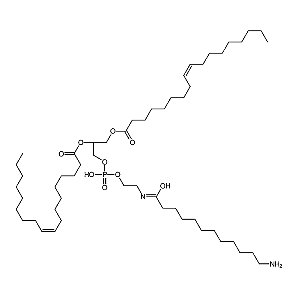 RHAWN 1,2-dioleoyl-sn-glycero-3-phosphoethanolamine-N-(dodecanylamine)