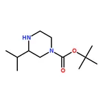 RHAWN (S)-1-Boc-3-Isopropylpiperazine