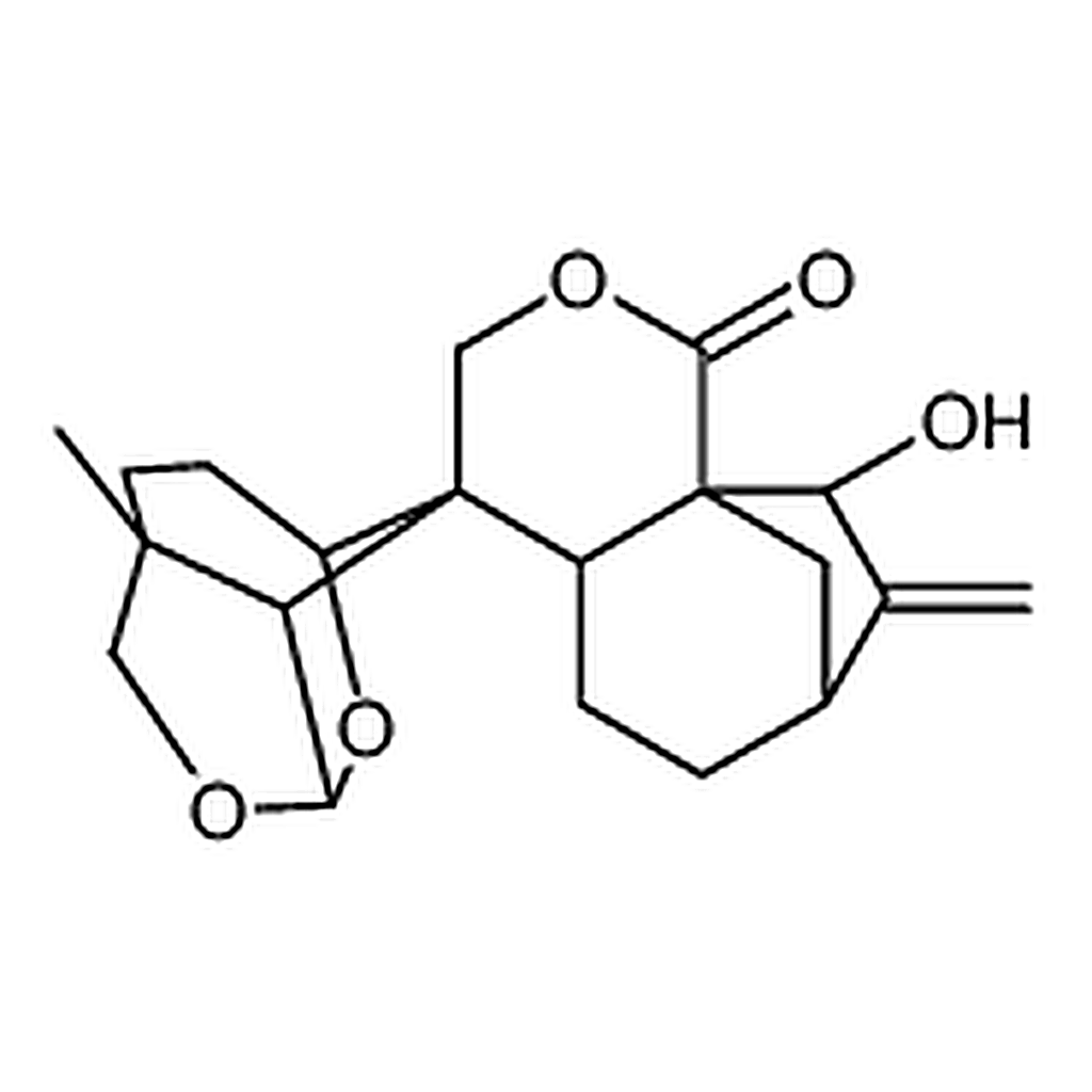 RHAWN Sculponeatin K