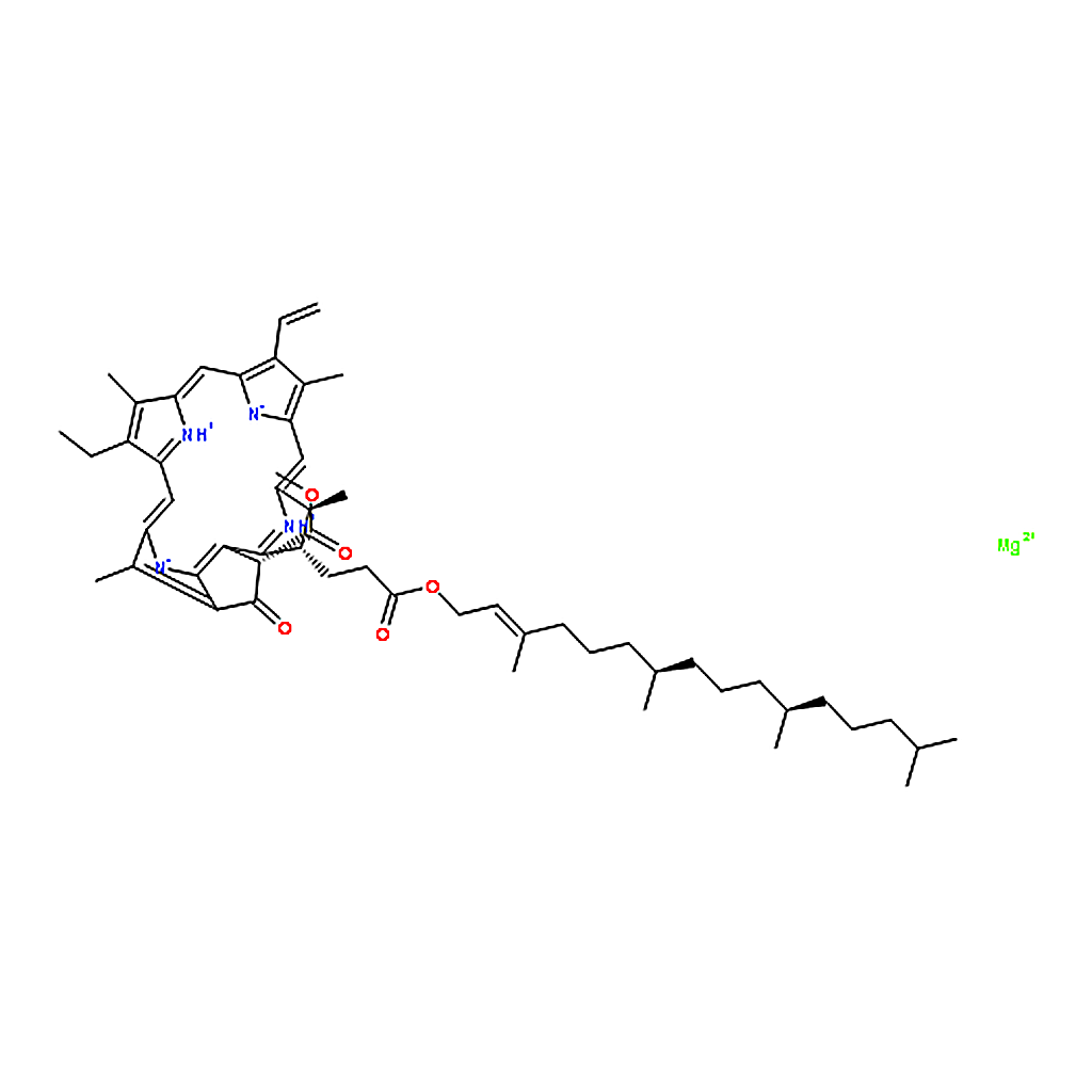 RHAWN Mushy chlorophyll