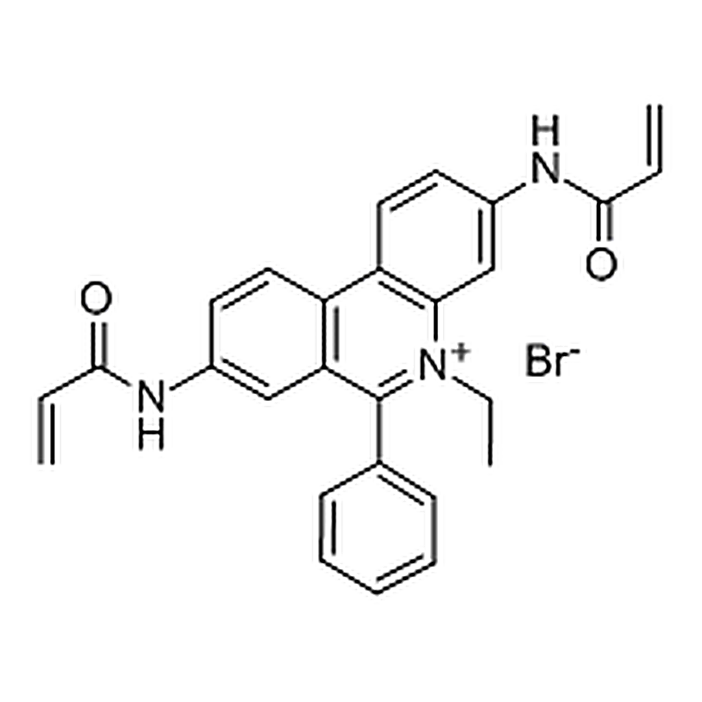 RHAWN Ethidium bromide-N，N▽-bisacrylamide