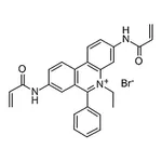 RHAWN Ethidium bromide-N,N▽-bisacrylamide