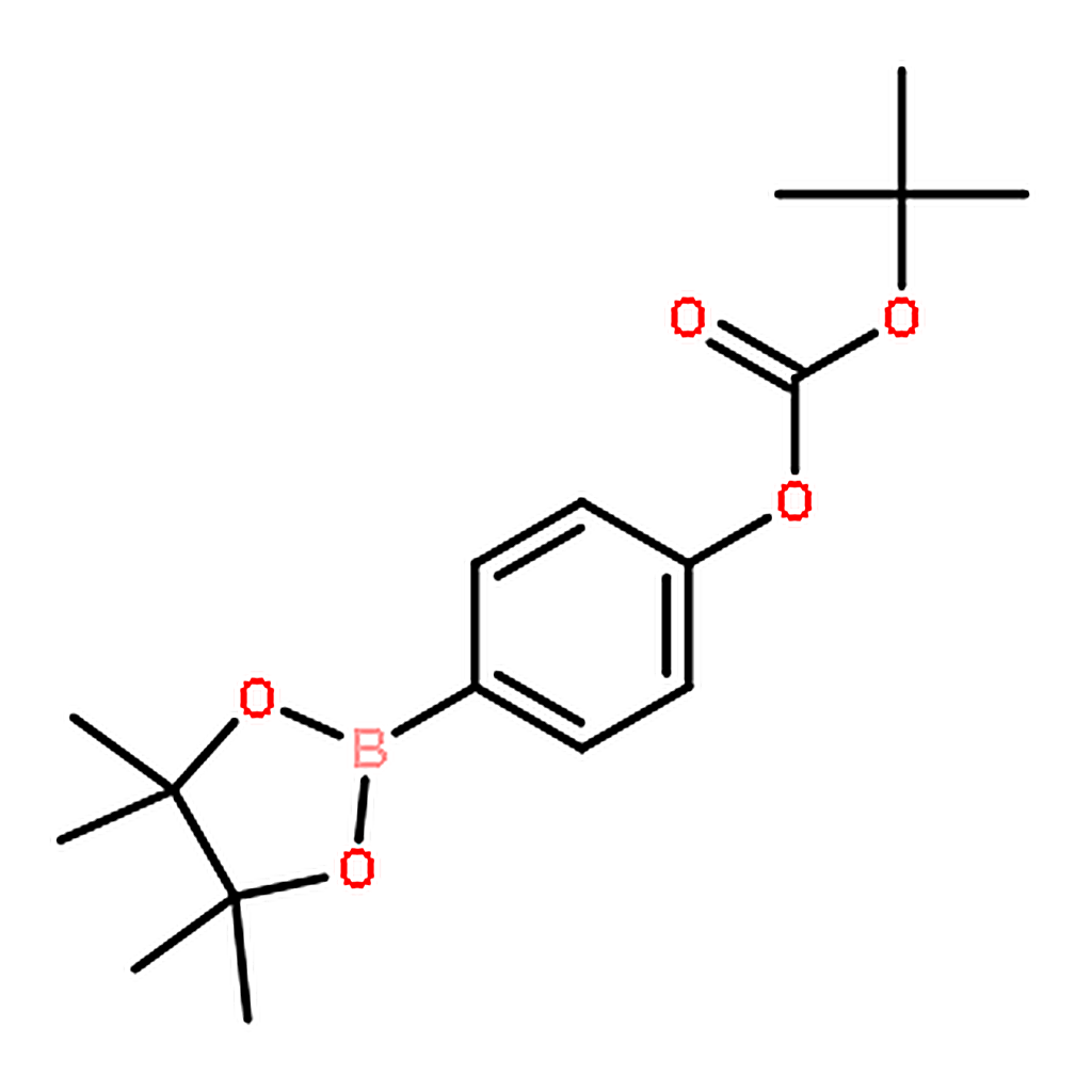 RHAWN 4-(tert-Butoxycarbonyloxy)phenylboronic acid pinacol ester