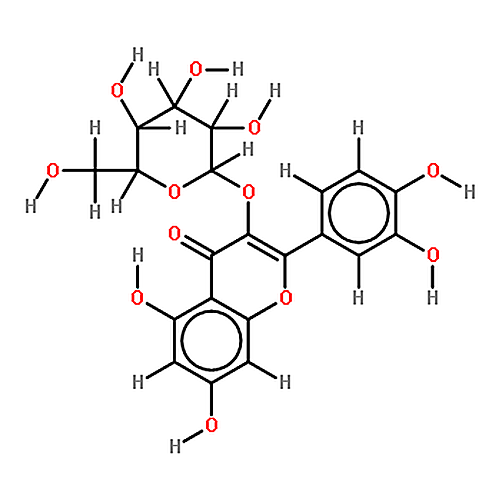 RHAWN Quercetin 3-D-galactoside