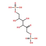 RHAWN D-FRUCTOSE 1,6-DIPHOSPHATE SODIUM