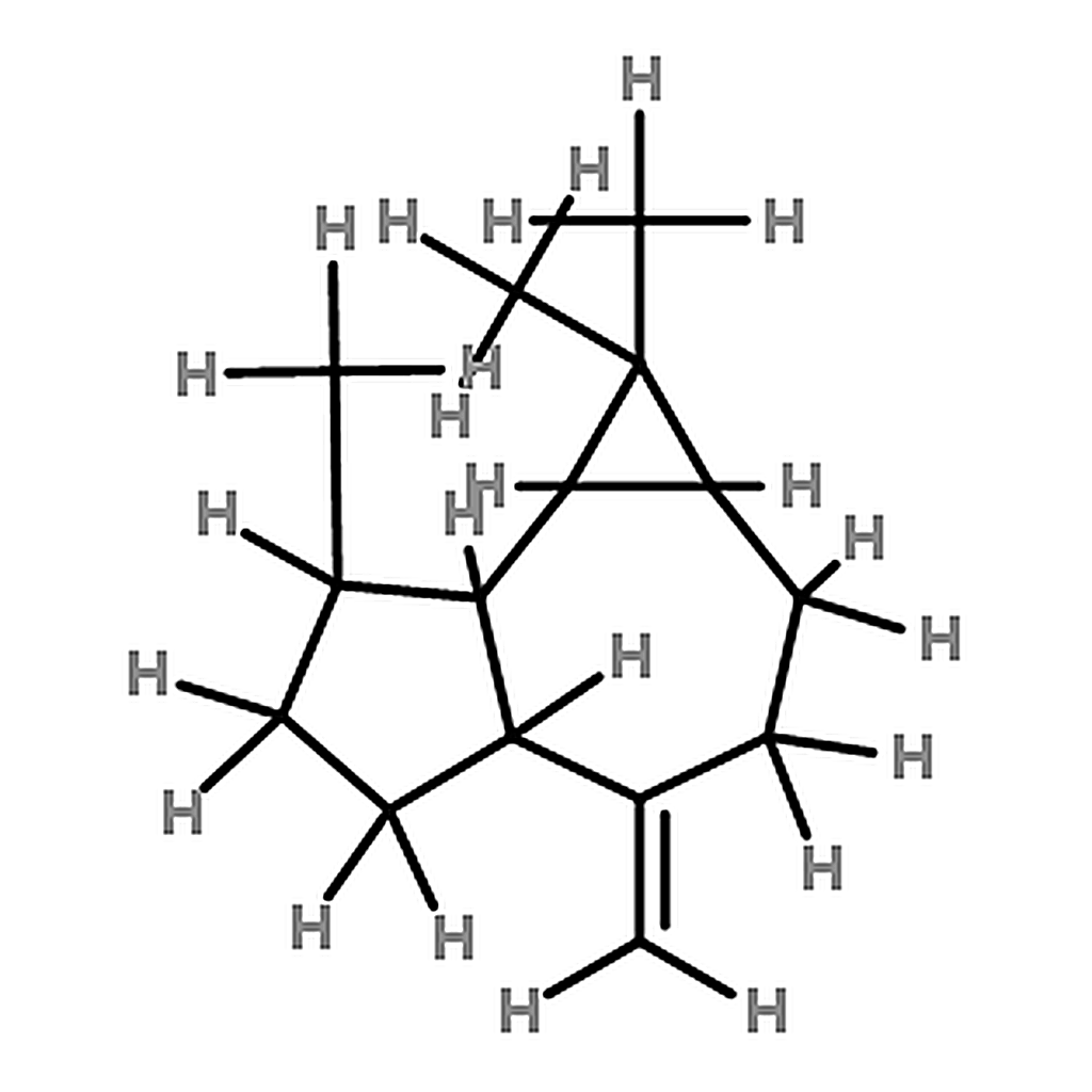 RHAWN (+)-Aromadendrene