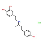 RHAWN rac Dobutamine Hydrochloride