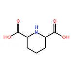 RHAWN Piperidine-2,6-dicarboxylic Acid