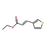 RHAWN Ethyl-3-(Thiophen-3-Yl)Acrylate