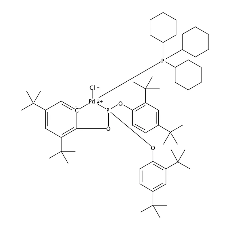 RHAWN Chloro(┎2-P,C-tris(2,4-di-tert butylphenyl)phosphite)(tri cyclohexylphosphine)palladium(II)