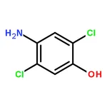 RHAWN 2,5-Dichloro-4-aminophenol