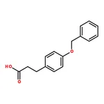 RHAWN 3-(4-(Benzyloxy)phenyl)propanoic acid