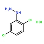 RHAWN 2,5-Dichlorophenylhydrazine hydrochloride