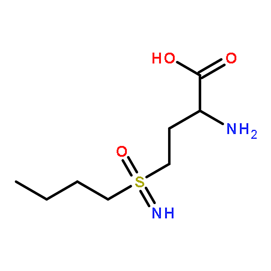 RHAWN D，L-Buthionine-(S，R)-sulfoximine
