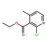 RHAWN Ethyl 2-chloro-4-methylnicotinate