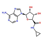 RHAWN 5'-(N-Cyclopropyl)carboxamidoadenosine