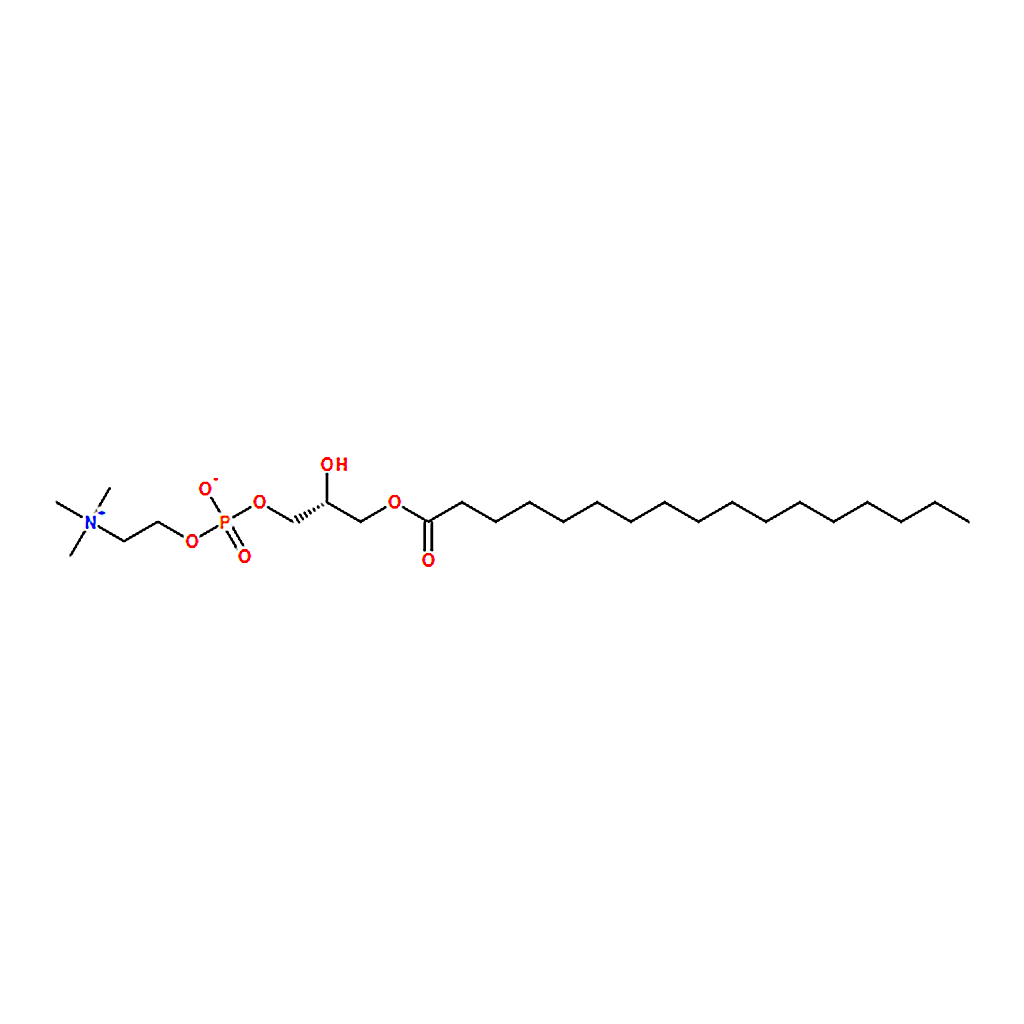 RHAWN 1-heptadecanoyl-2-hydroxy-sn-glycero-3-phosphocholine