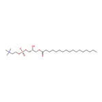 RHAWN 1-heptadecanoyl-2-hydroxy-sn-glycero-3-phosphocholine