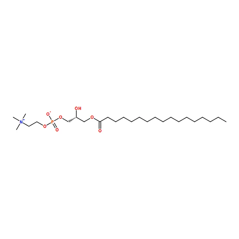 RHAWN 1-heptadecanoyl-2-hydroxy-sn-glycero-3-phosphocholine