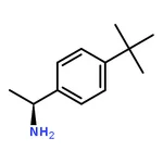 RHAWN (S)-1-(4-tert-Butylphenyl)ethanamine
