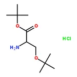 RHAWN O-tert-Butyl-L-serine tert-butyl ester hydrochloride