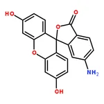RHAWN 6-Aminofluorescein