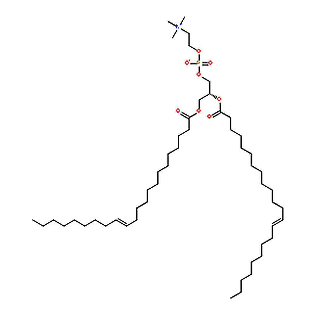 RHAWN 1,2-dierucoyl-sn-glycero-3-phosphocholine