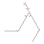 RHAWN 1,2-dierucoyl-sn-glycero-3-phosphocholine