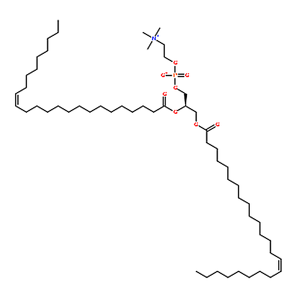 RHAWN 1,2-dinervonoyl-sn-glycero-3-phosphocholine