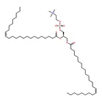 RHAWN 1,2-dinervonoyl-sn-glycero-3-phosphocholine