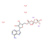 RHAWN Adenosine 5’-triphosphate, disodium salt