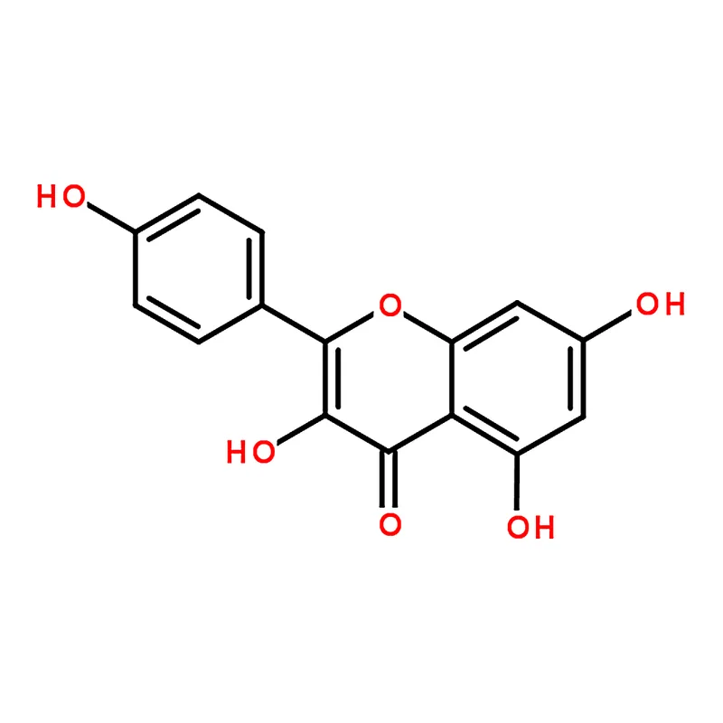 RHAWN Kaempferol