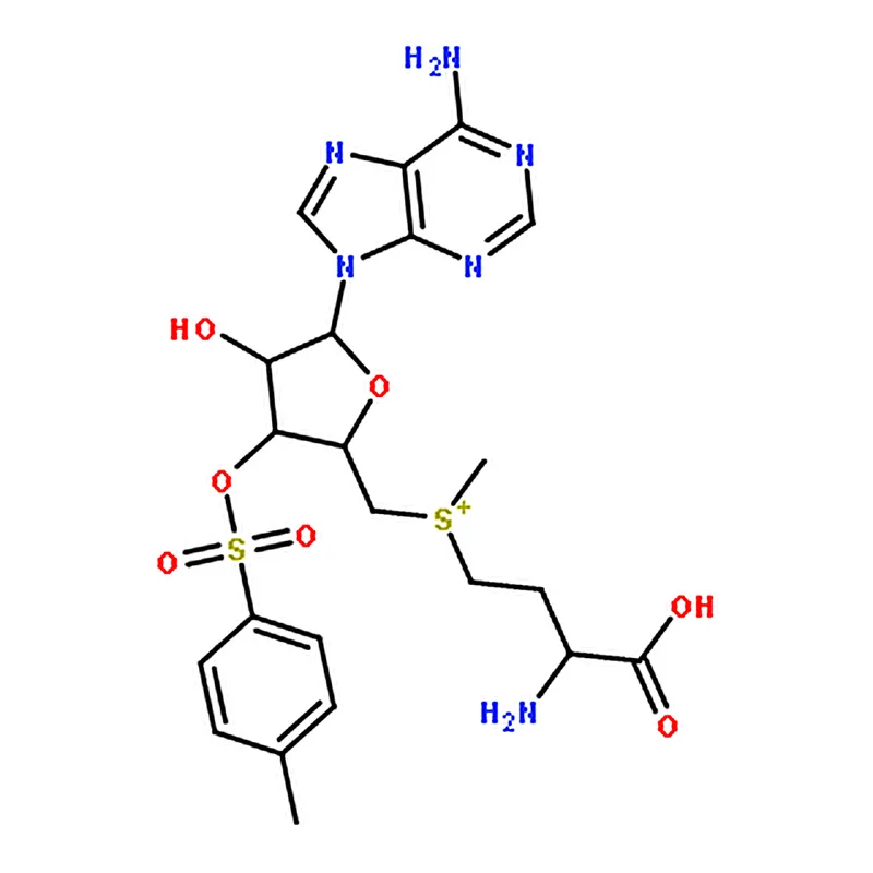 RHAWN S-(5▽-Adenosyl)-L-methionine ptoluenesulfonate salt