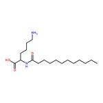 RHAWN (S)-2-Amino-6-dodecanamidohexanoic acid