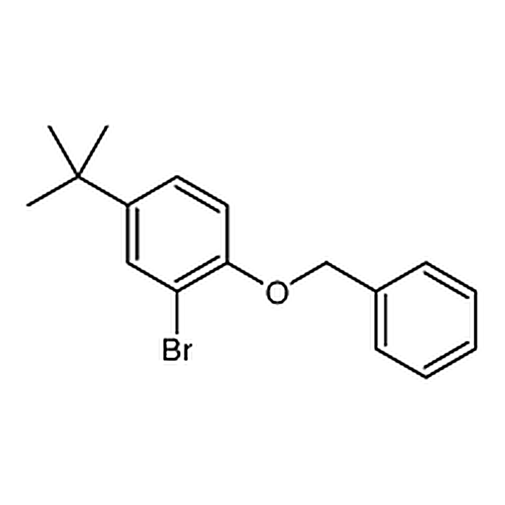 RHAWN 1-(Benzyloxy)-2-bromo-4-tert-butylbenzene