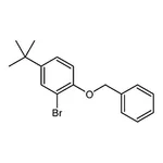 RHAWN 1-(Benzyloxy)-2-bromo-4-tert-butylbenzene