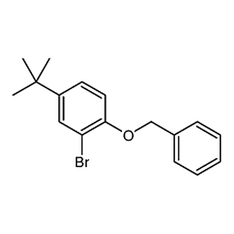 RHAWN 1-(Benzyloxy)-2-bromo-4-tert-butylbenzene