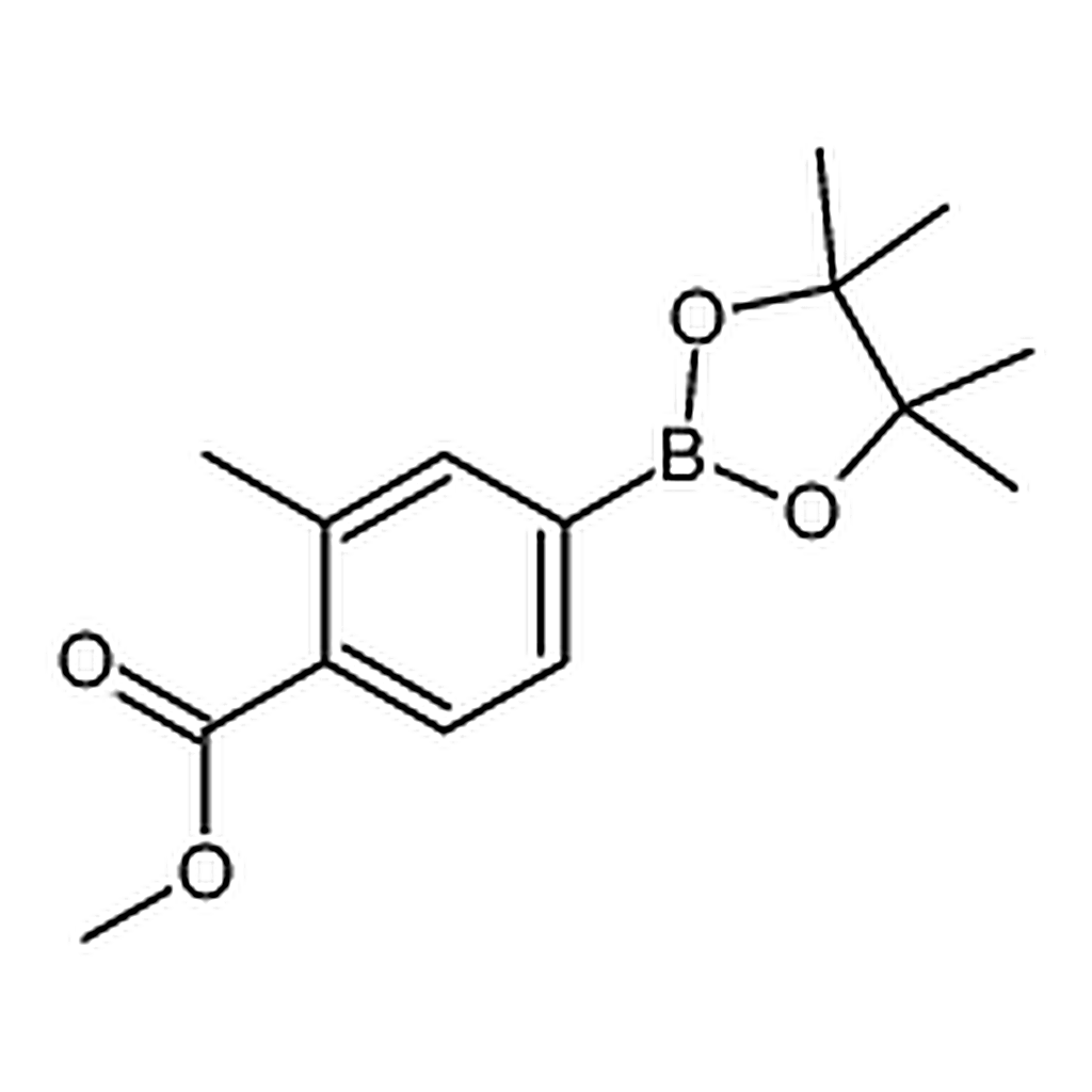 RHAWN Methyl 2-methyl-4-(4，4，5，5-tetramethyl-1，3，2-dioxaborolan-2-yl)benzoate