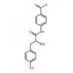 RHAWN L-Tyrosine 4-Nitroanilide