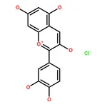RHAWN cyanidin chloride for analytical comparison